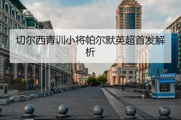 切尔西青训小将帕尔默英超首发解析